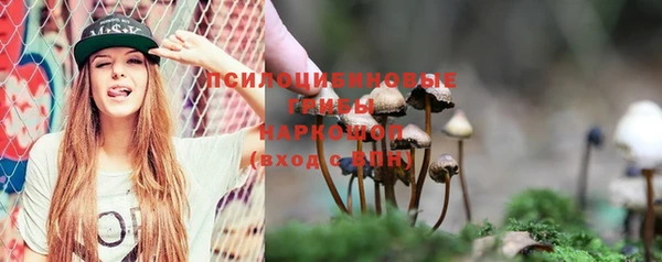 винт Богородицк