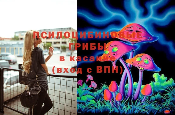 метадон Богородск