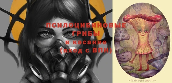 ешки Бородино